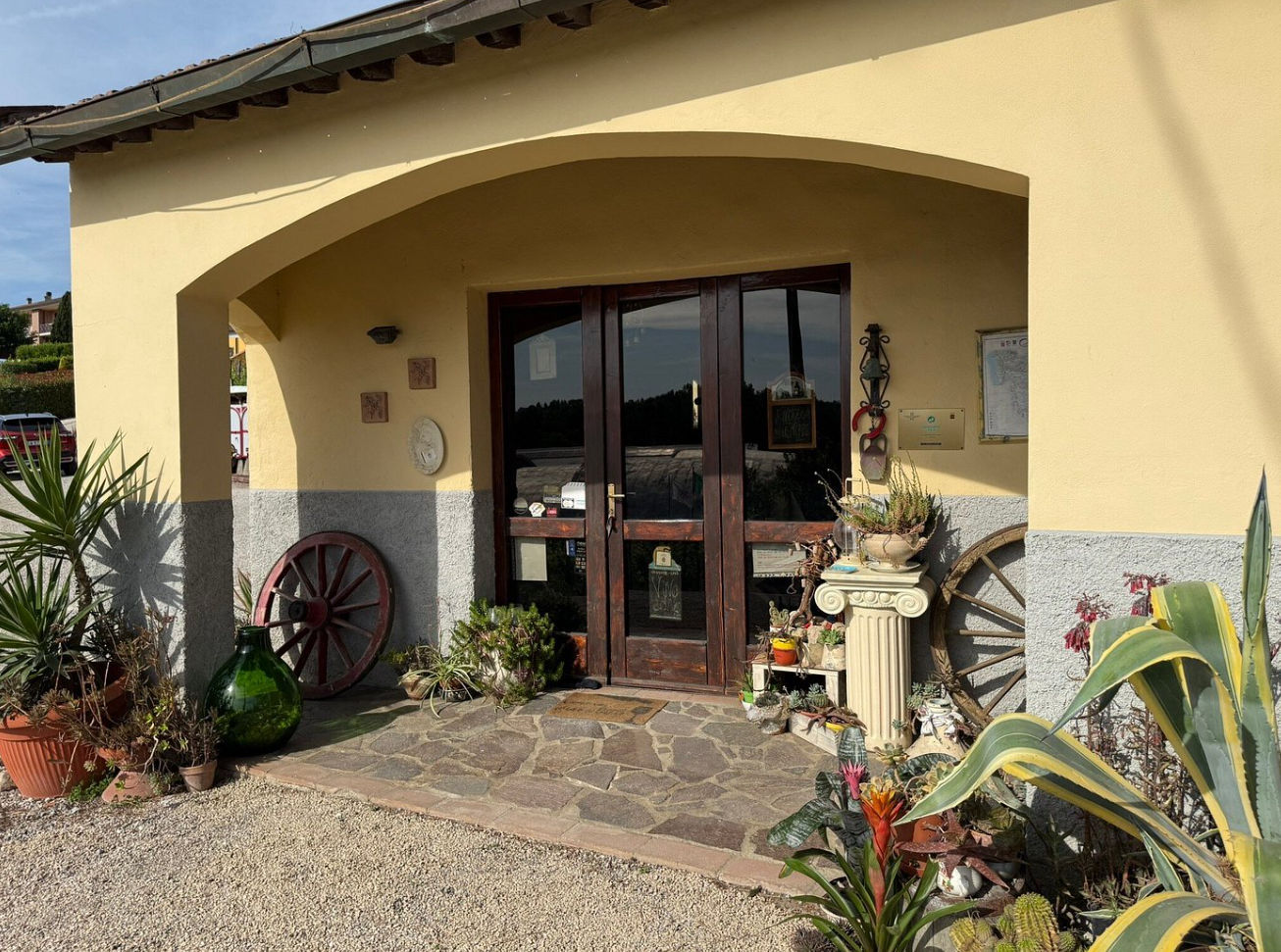 Master Tuscan Wine Experience: From Vineyard Walk to Guided Tasting