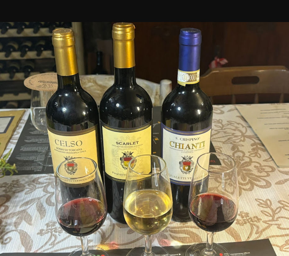 Master Tuscan Wine Experience: From Vineyard Walk to Guided Tasting