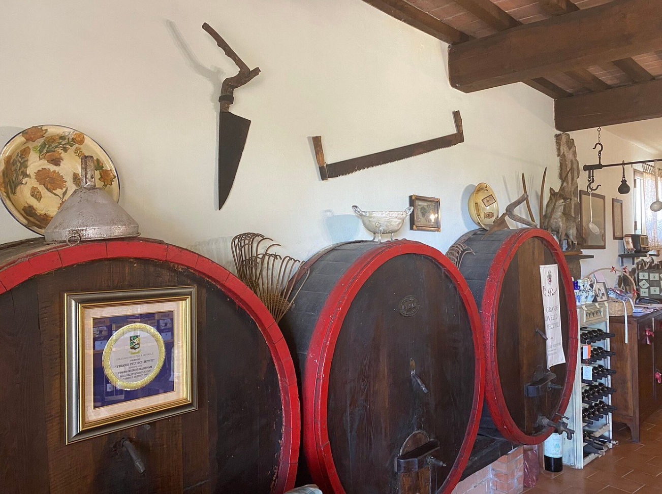 Master Tuscan Wine Experience: From Vineyard Walk to Guided Tasting