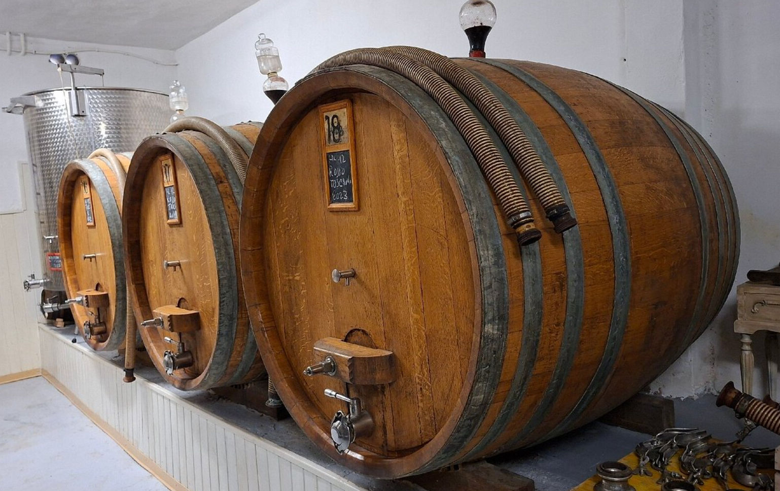 Master Tuscan Wine Experience: From Vineyard Walk to Guided Tasting