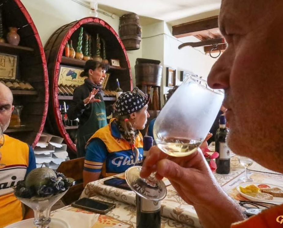 Master Tuscan Wine Experience: From Vineyard Walk to Guided Tasting