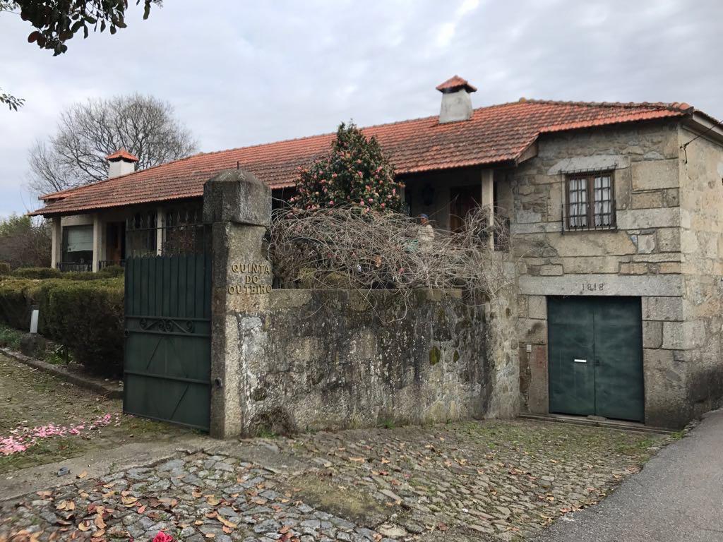 Mastering the Art of Crafting Portuguese Cuisine with a Chef