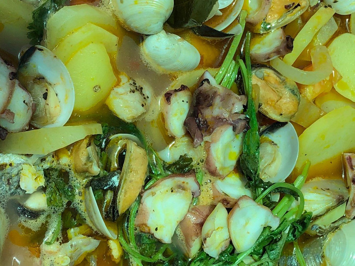 Mastering the Art of Crafting Portuguese Cuisine with a Chef