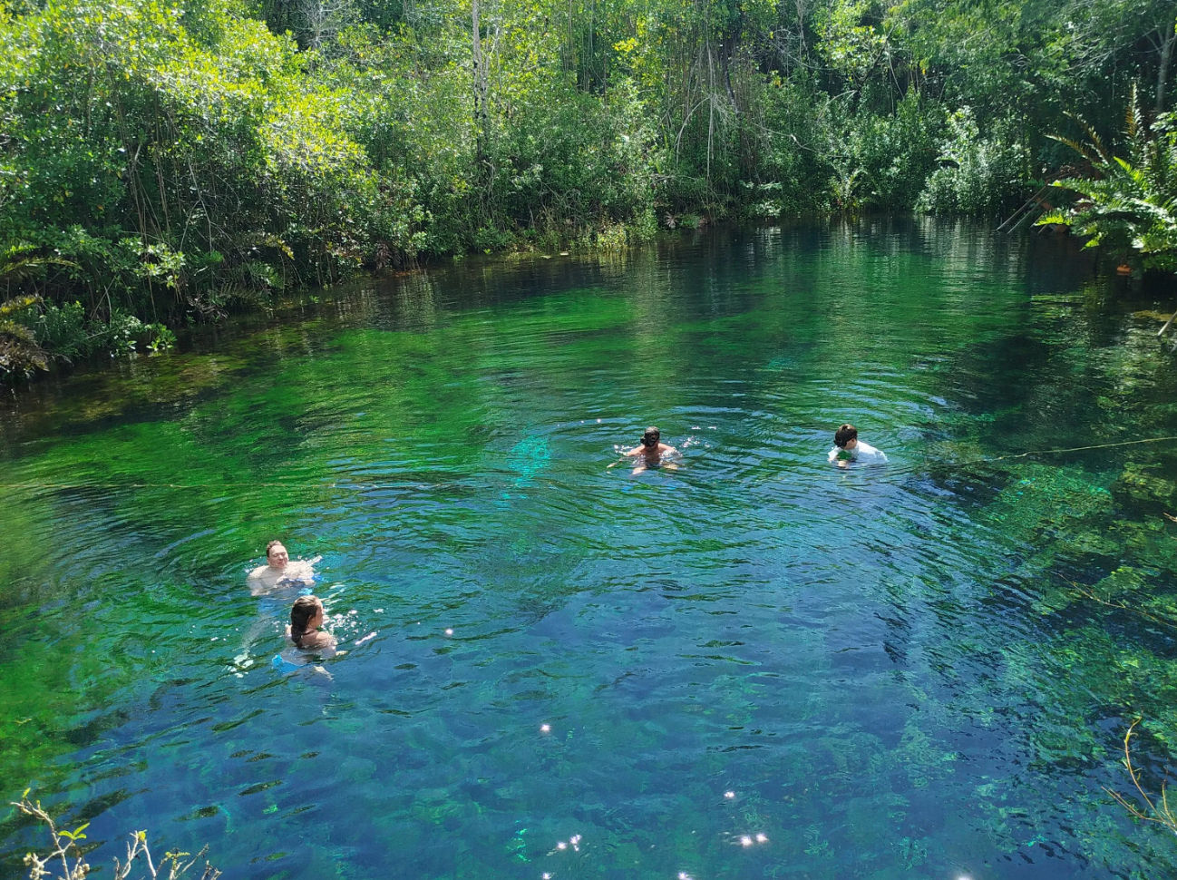 Auténtica cocina maya y aventura en bicicleta por 4 cenotes cerca de Tulum