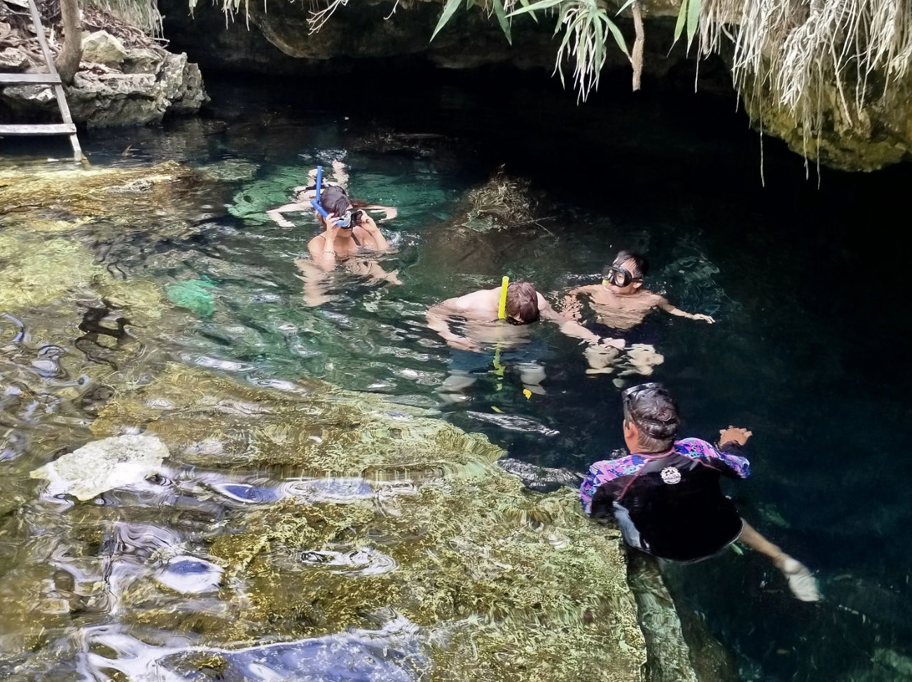 Auténtica cocina maya y aventura en bicicleta por 4 cenotes cerca de Tulum