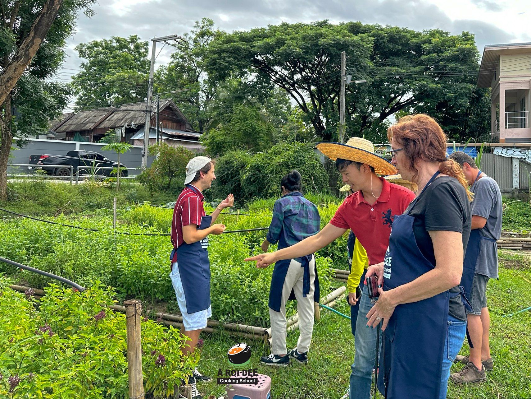 Fresh Organic Ingredients Cooking Thai Dish in Lovely Organic Farm Chiangmai