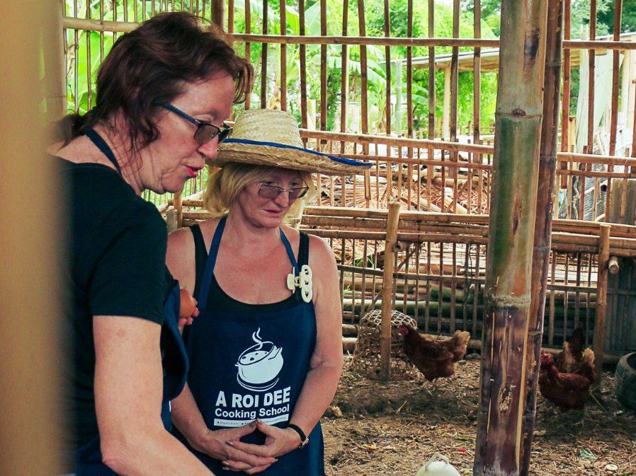 Fresh Organic Ingredients Cooking Thai Dish in Lovely Organic Farm Chiangmai