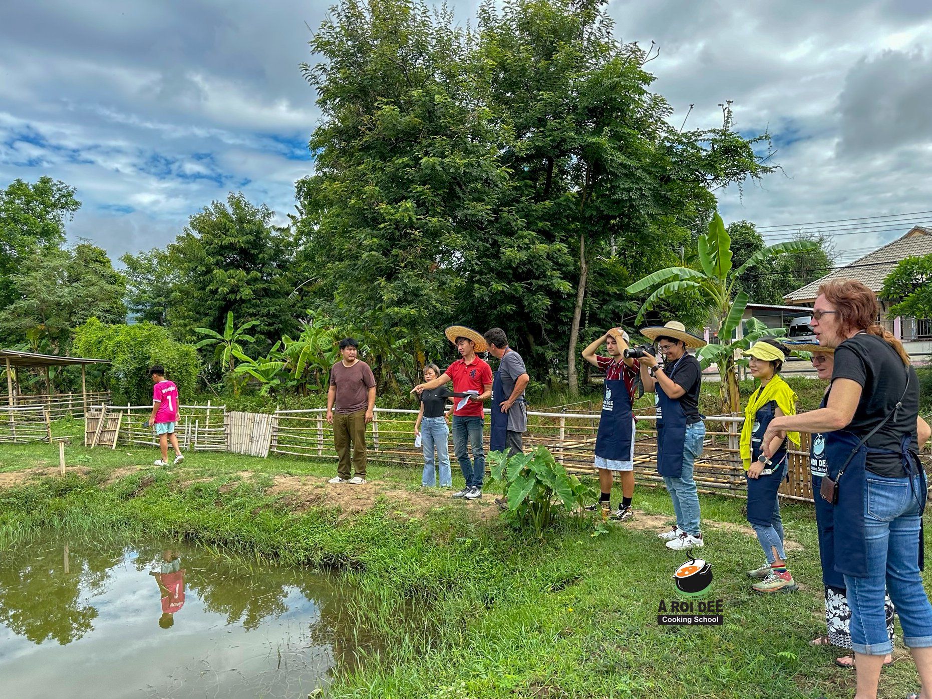 Fresh Organic Ingredients Cooking Thai Dish in Lovely Organic Farm Chiangmai