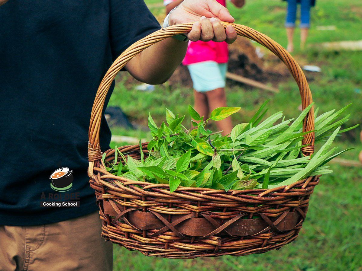 Fresh Organic Ingredients Cooking Thai Dish in Lovely Organic Farm Chiangmai