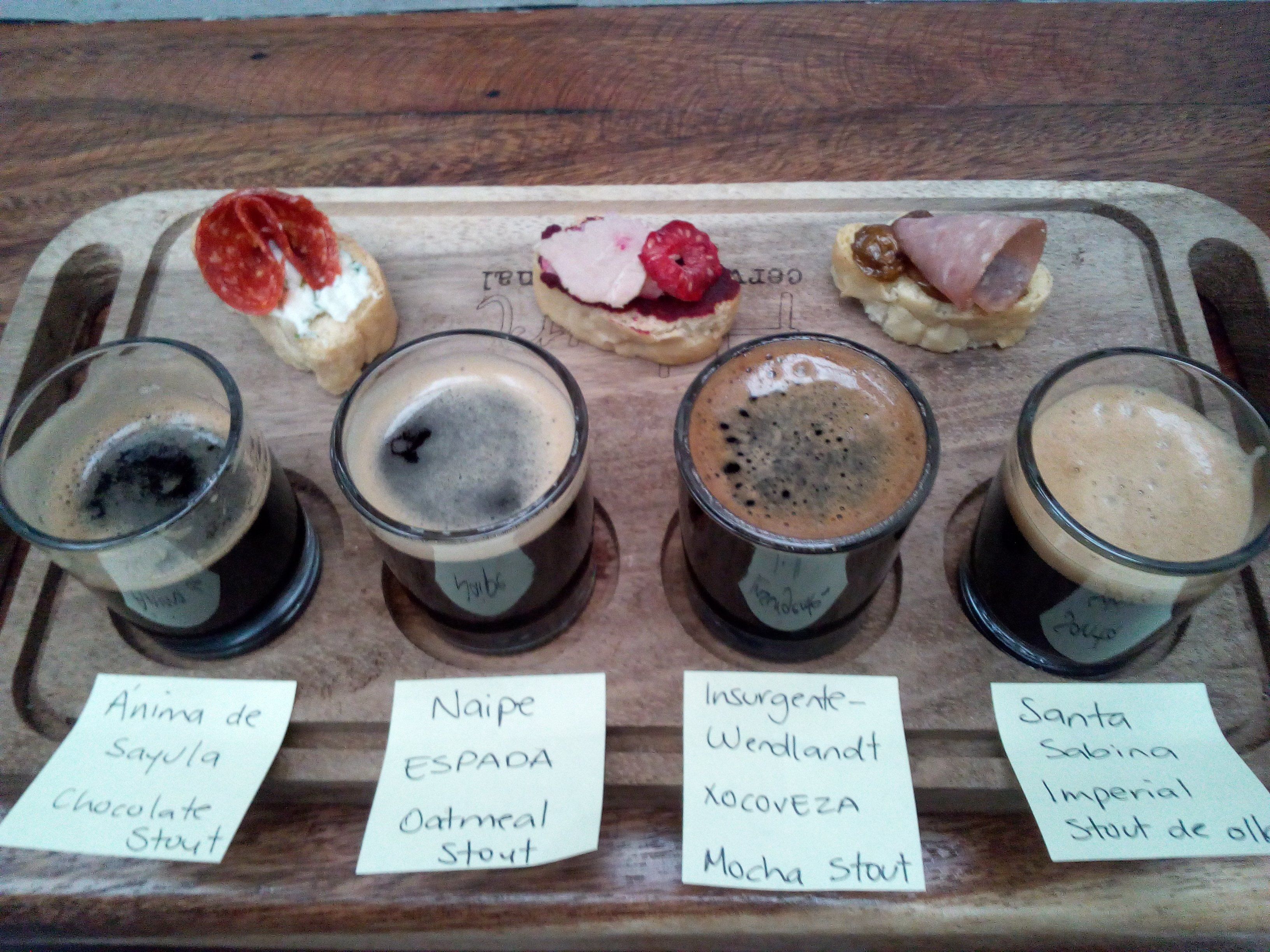 Jalisco Trip Mexican Craft Beer Tasting Experience in Guadalajara