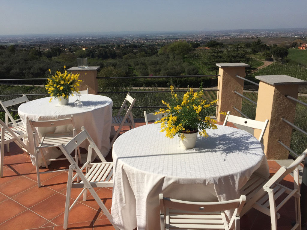 Pizza Making Class with Winery Tour & Tasting: Roman Adventure