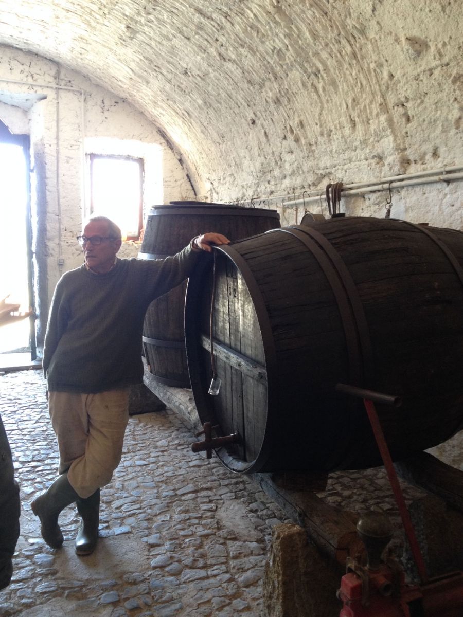 Pasta Making Class in Rome's Countryside with Winery Tour