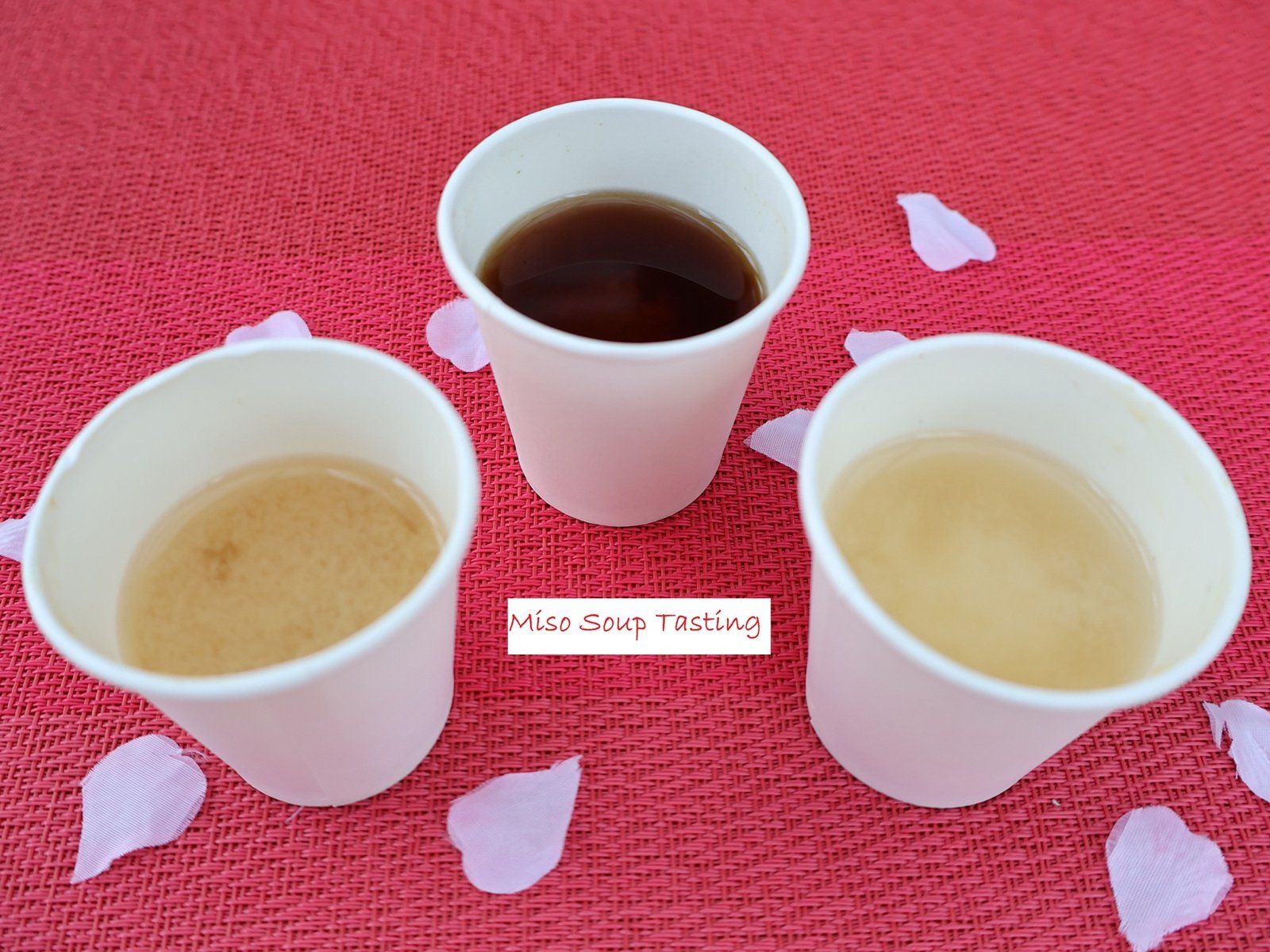 Miso-Making Experience with Refreshing Amazake Dessert (Vegan-Friendly)