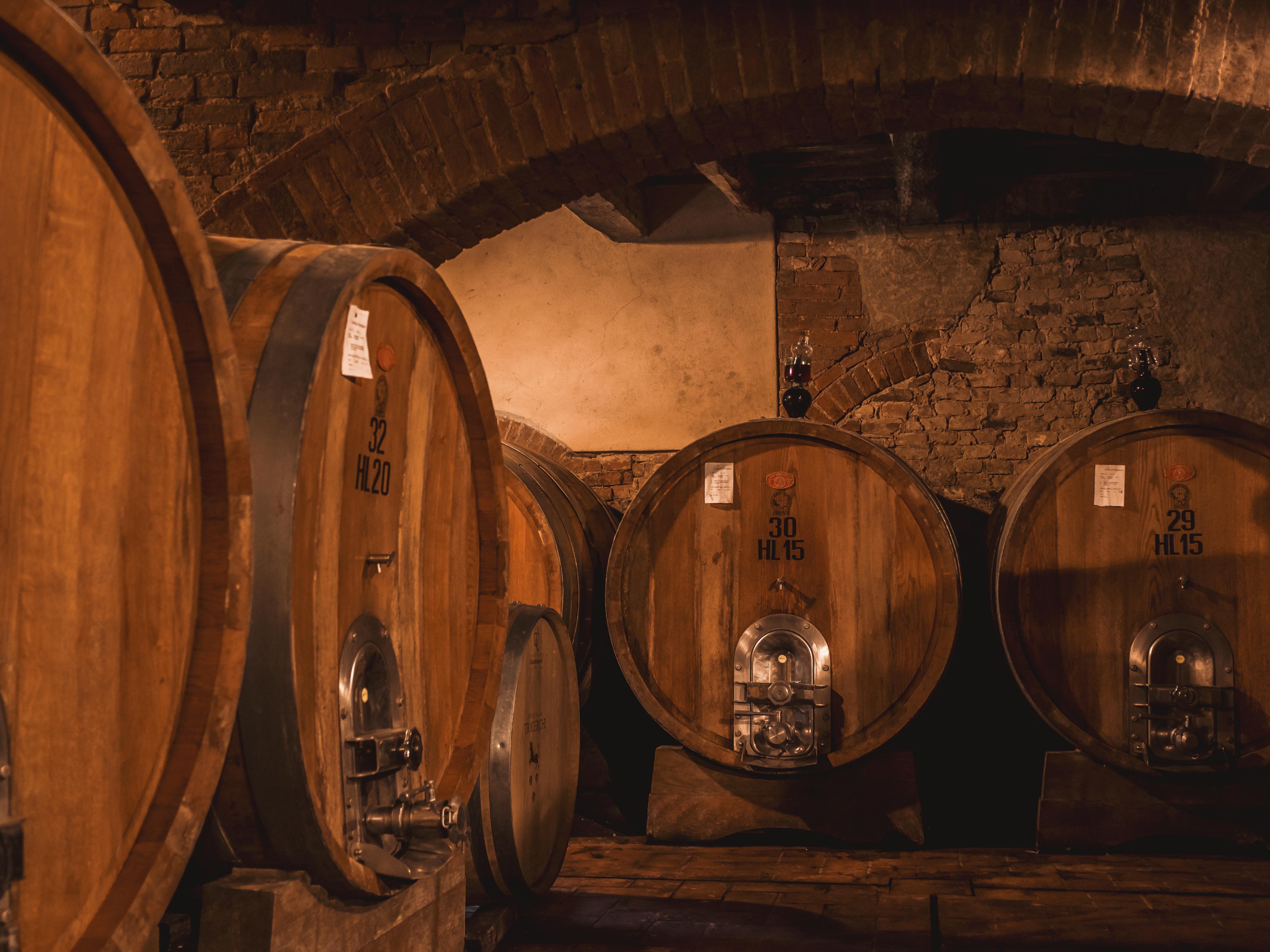 Tour of Montalcino Castle and Vineyards with Wine Tasting