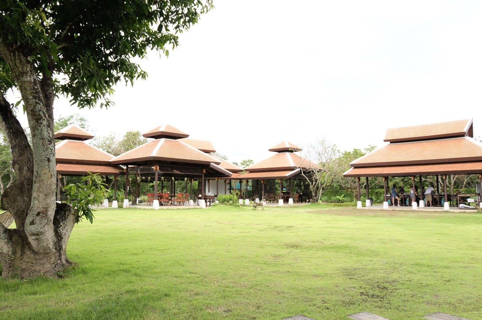 Morning Class in Traditional Pavilion with Beautiful Garden
