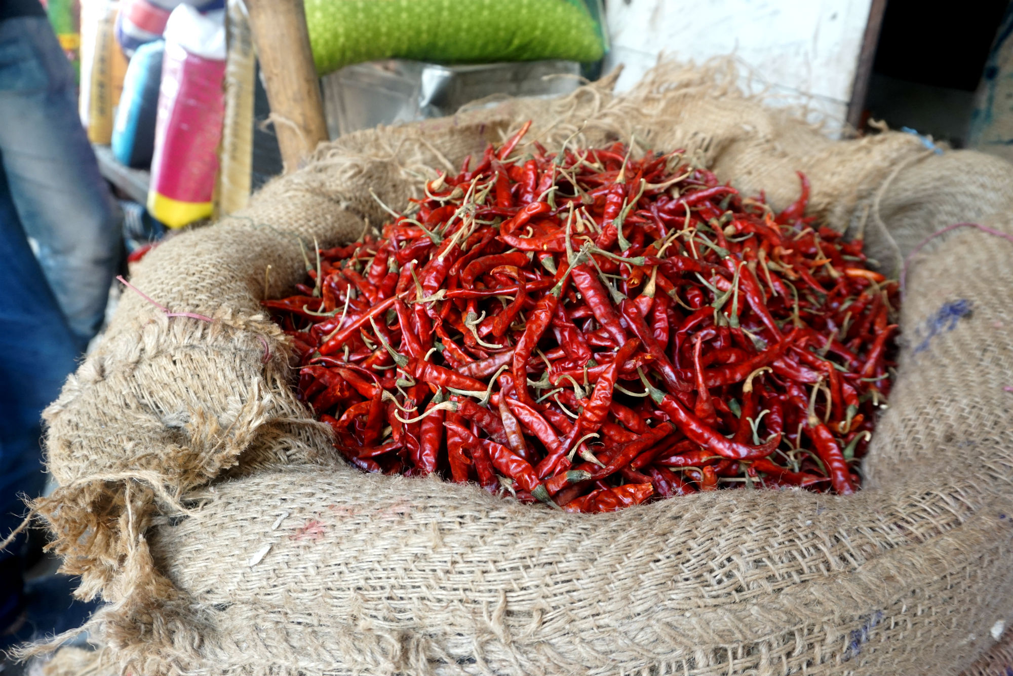 Mumbais versteckte Streetfood-Highlights mit dem Zug