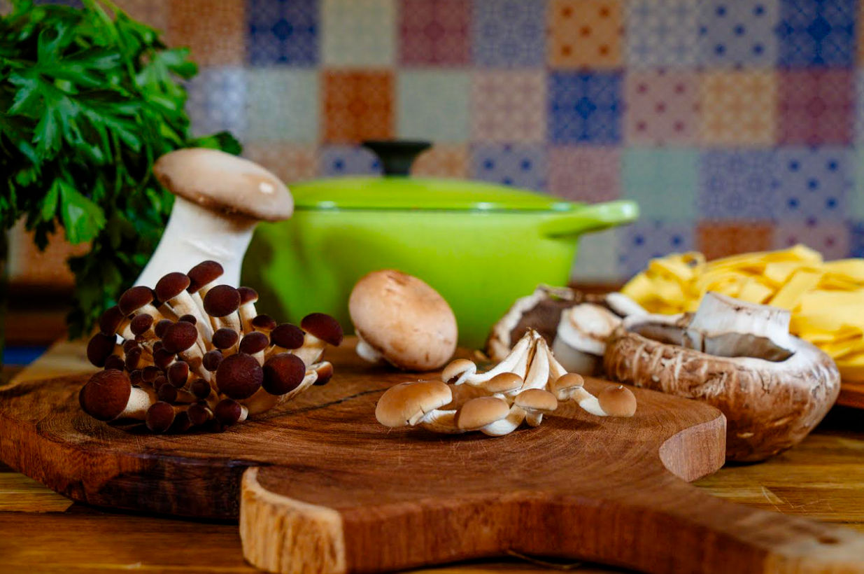 Hands-On Mushroom Cooking at a Monferrato Farmhouse with Alpine Views