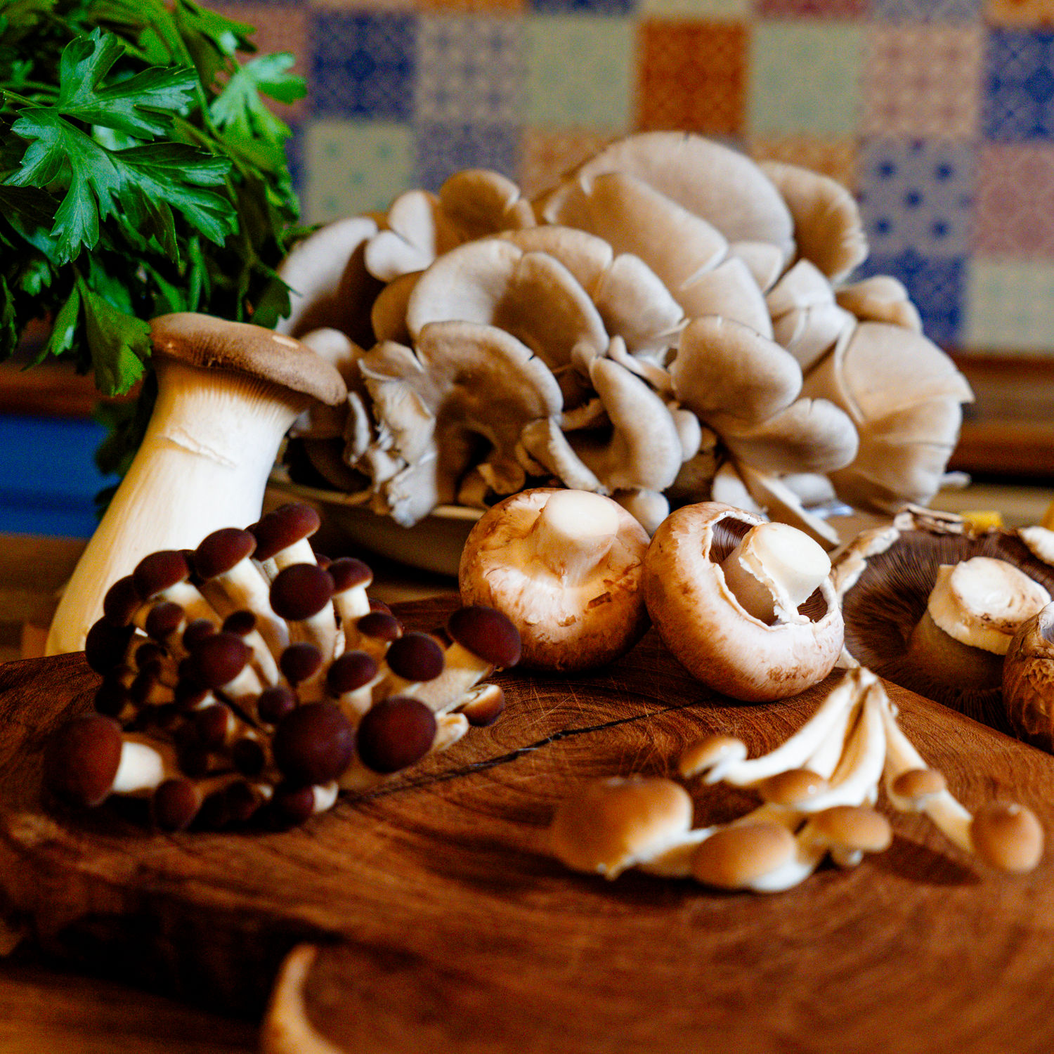 Hands-On Mushroom Cooking at a Monferrato Farmhouse with Alpine Views