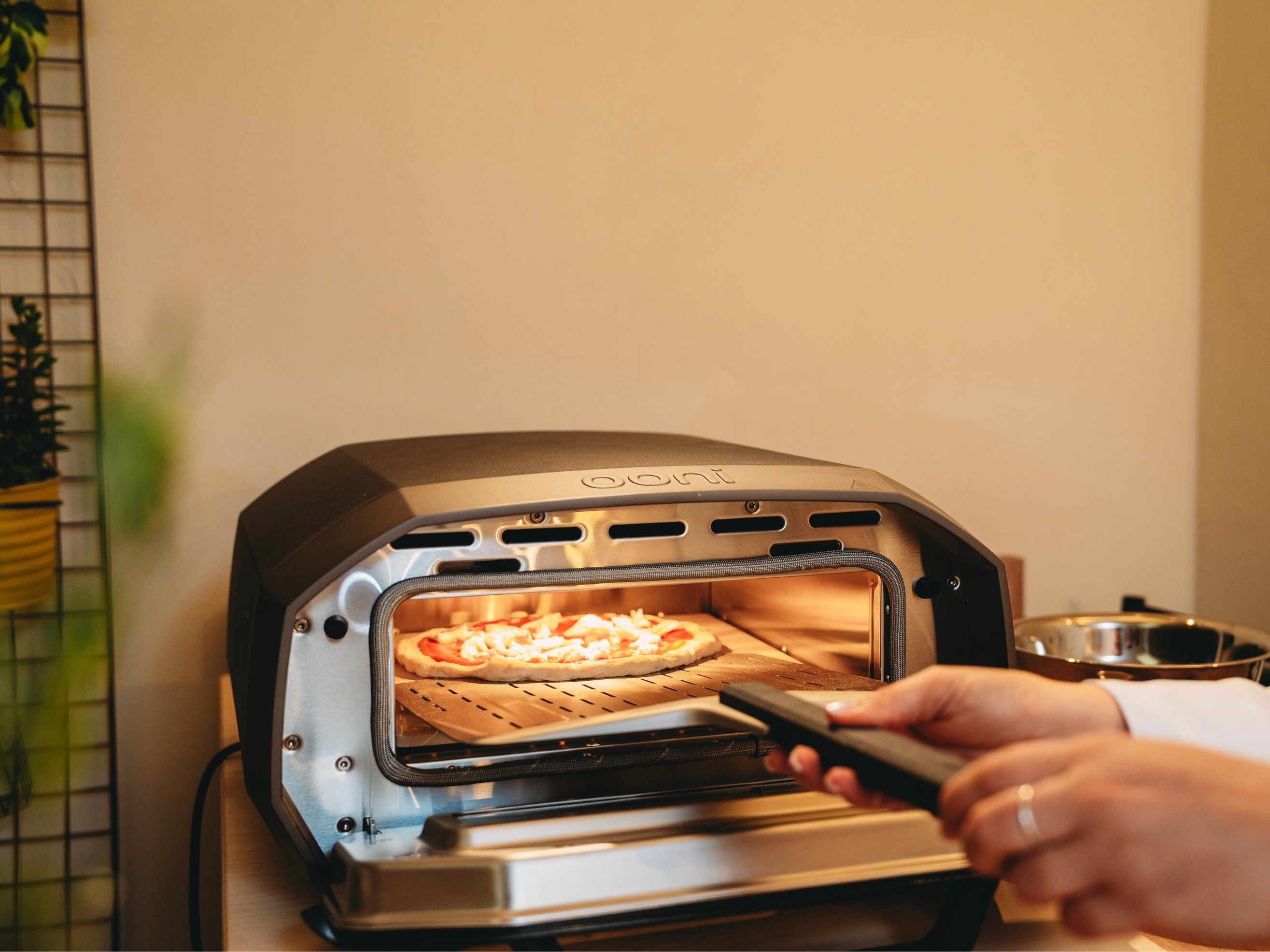Pizza and Gelato: A Culinary Journey in the Heart of Florence