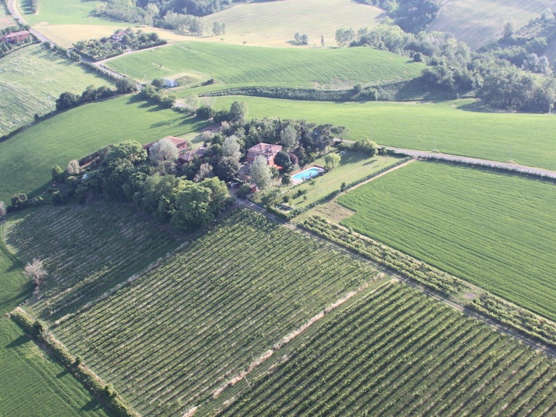 Maîtrisez l'art de la lasagne bolognaise authentique à la Villa degli Olmi