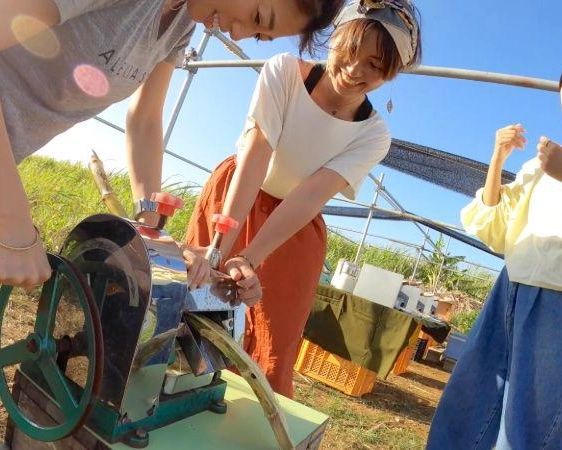 Okinawan Dessert Making: Fresh from the Farm