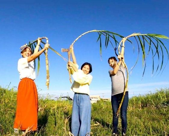 Okinawan Dessert Making: Fresh from the Farm