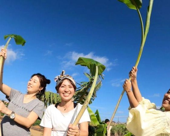Okinawan Dessert Making: Fresh from the Farm