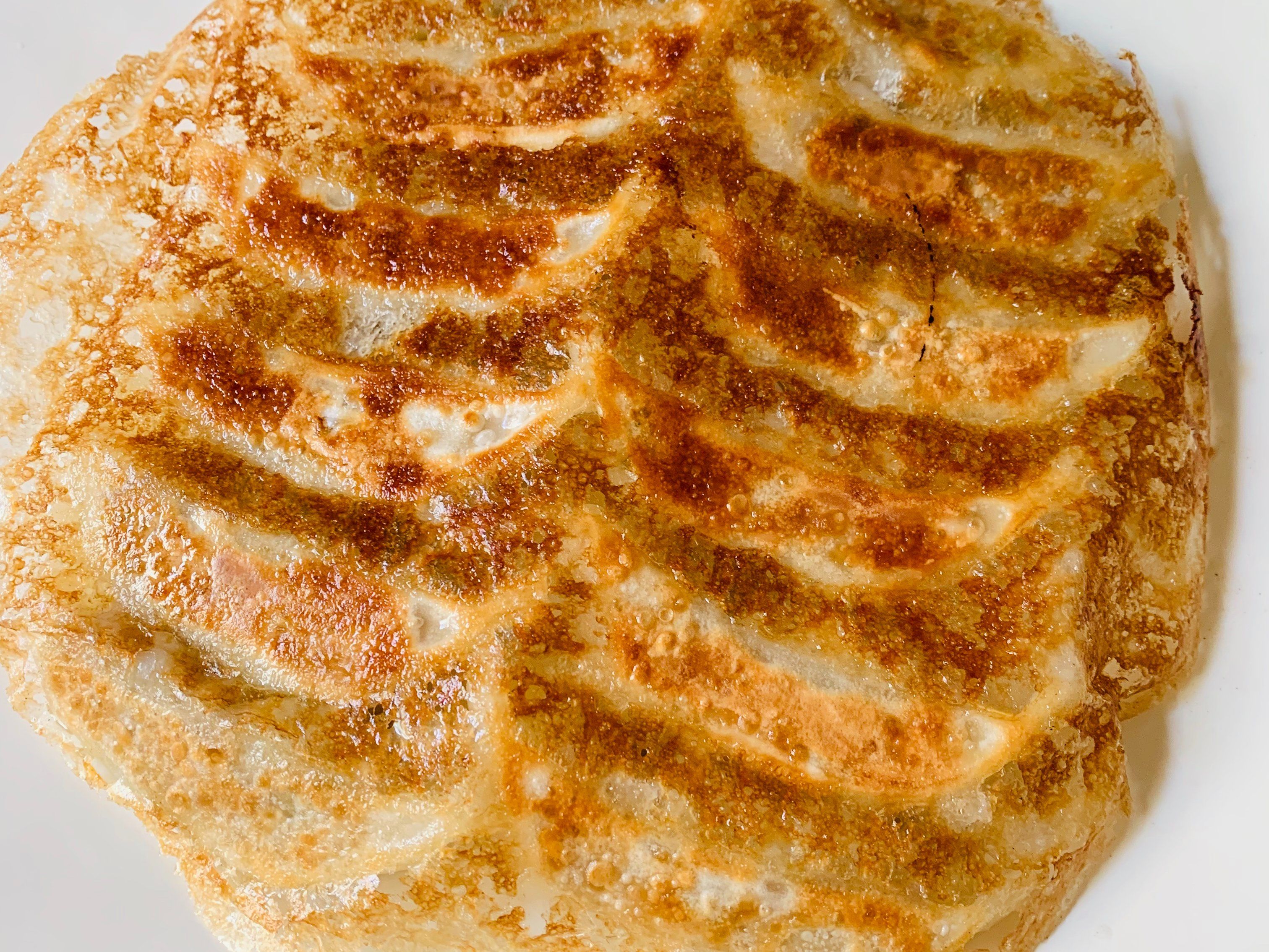 Hausgemachte Okonomiyaki und Gyoza: Kochkurs in Nagoya