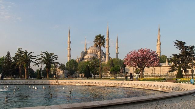 Old Town Farmers Market Tour and Cooking Class Combo in Sultanahmet on Wednesdays