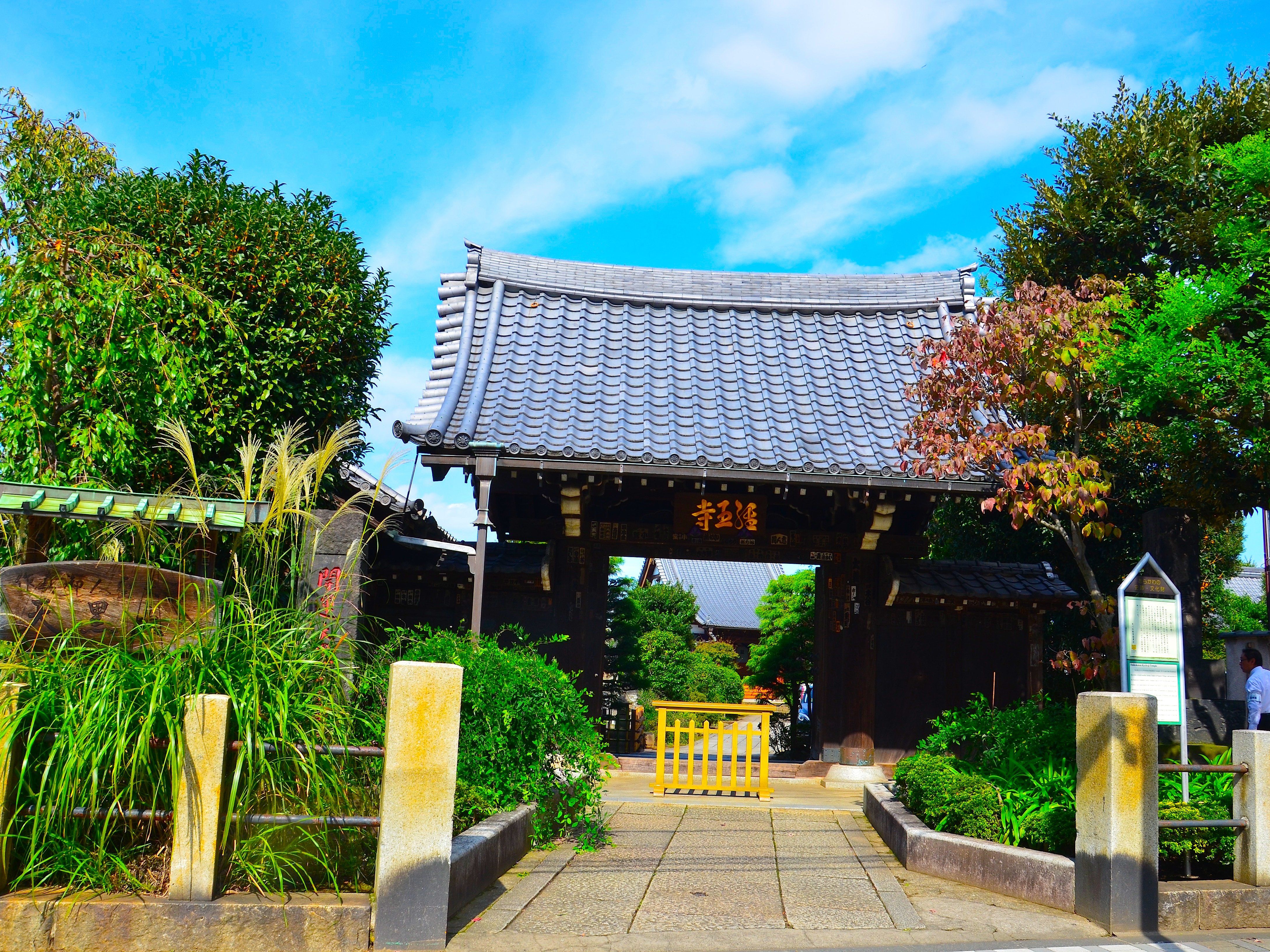 Old Town Tokyo (Yanaka) Food Tour