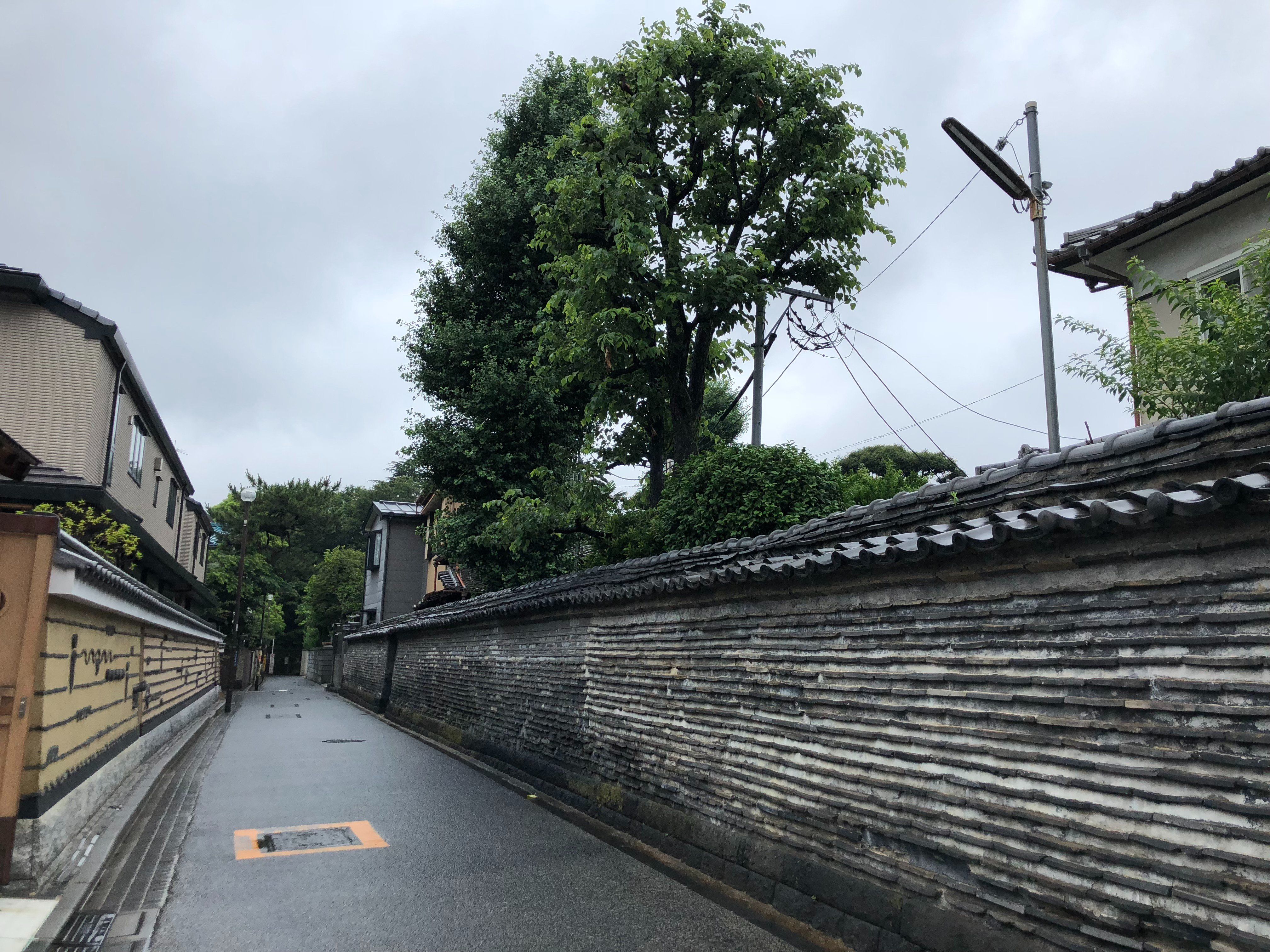 Old Town Tokyo (Yanaka) Food Tour