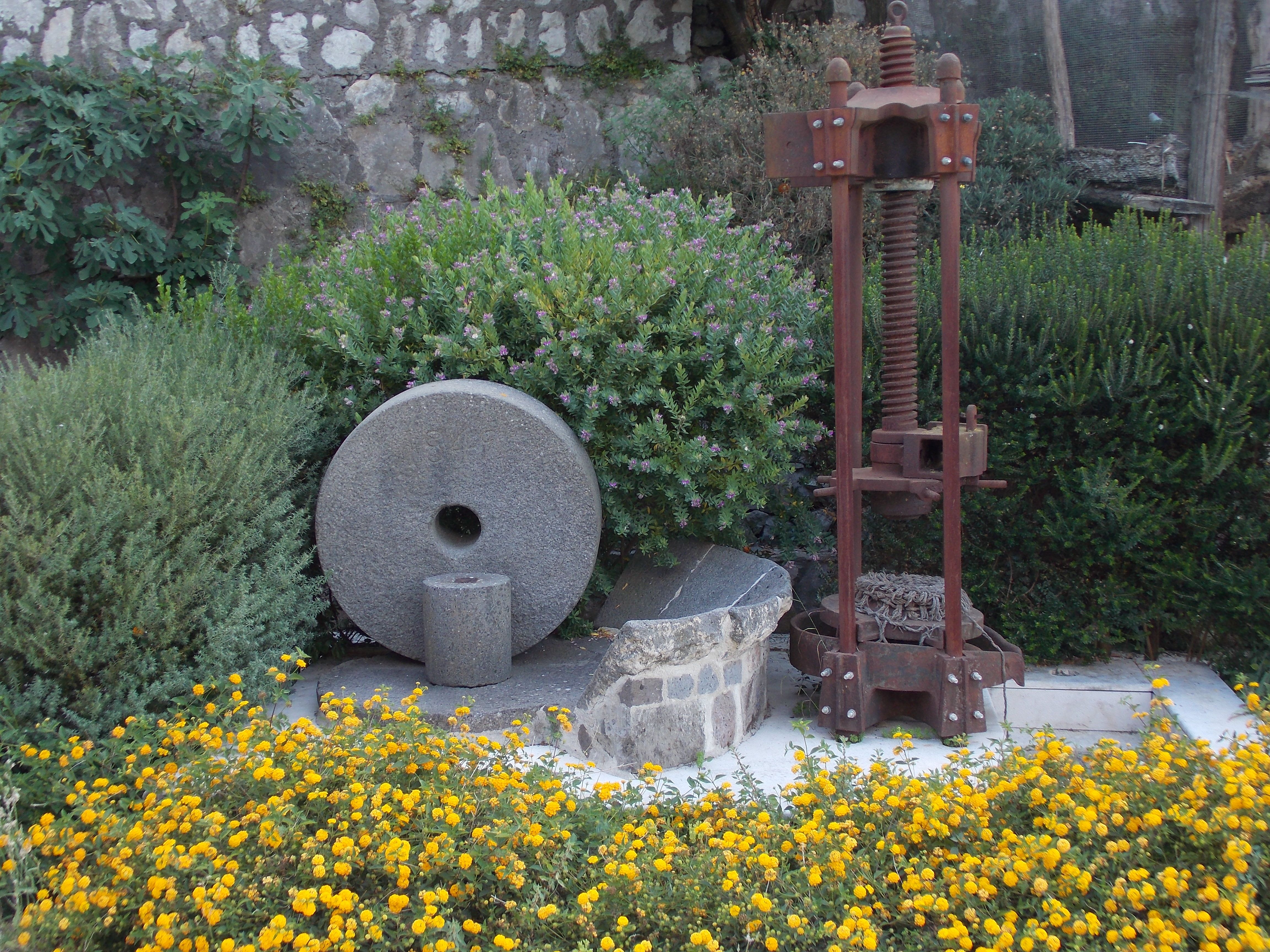 Frantoio Gargiulo Olive Experience and Spirits Tasting in Sorrento