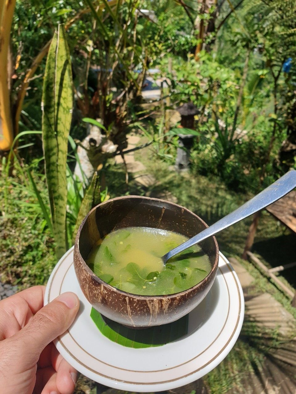 Organic and Authentic Balinese Cooking Class With Cycling in Jatiluwih Rice Terrace
