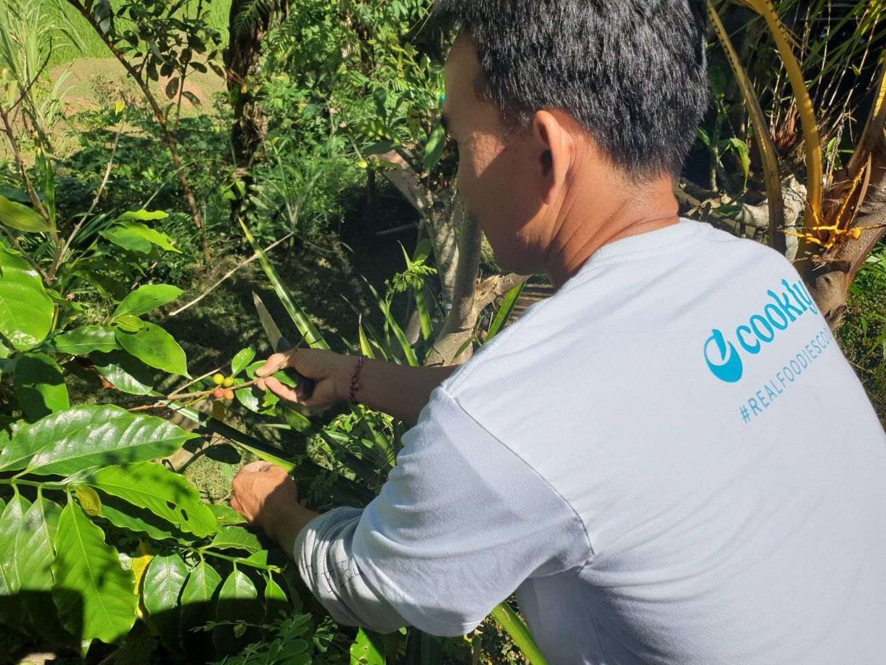 Organic and Authentic Balinese Cooking Class With Cycling in Jatiluwih Rice Terrace