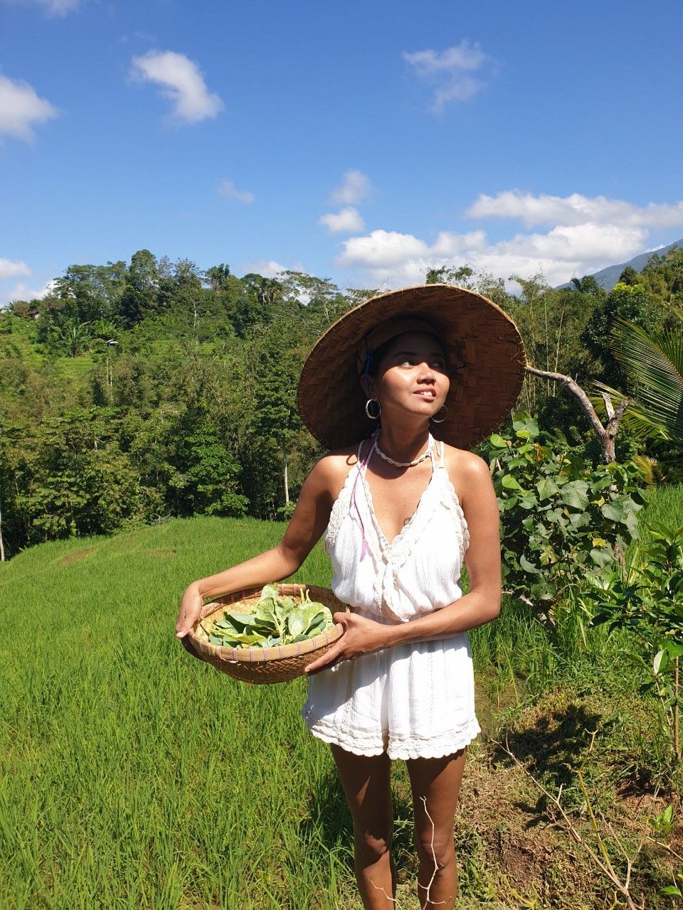 Organic and Authentic Balinese Cooking Class With Cycling in Jatiluwih Rice Terrace