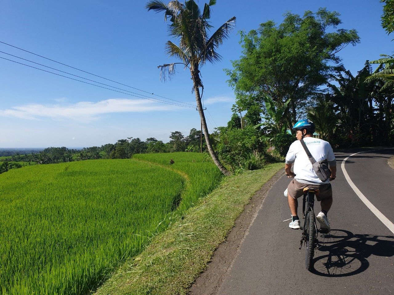 Organic and Authentic Balinese Cooking Class With Cycling in Jatiluwih Rice Terrace