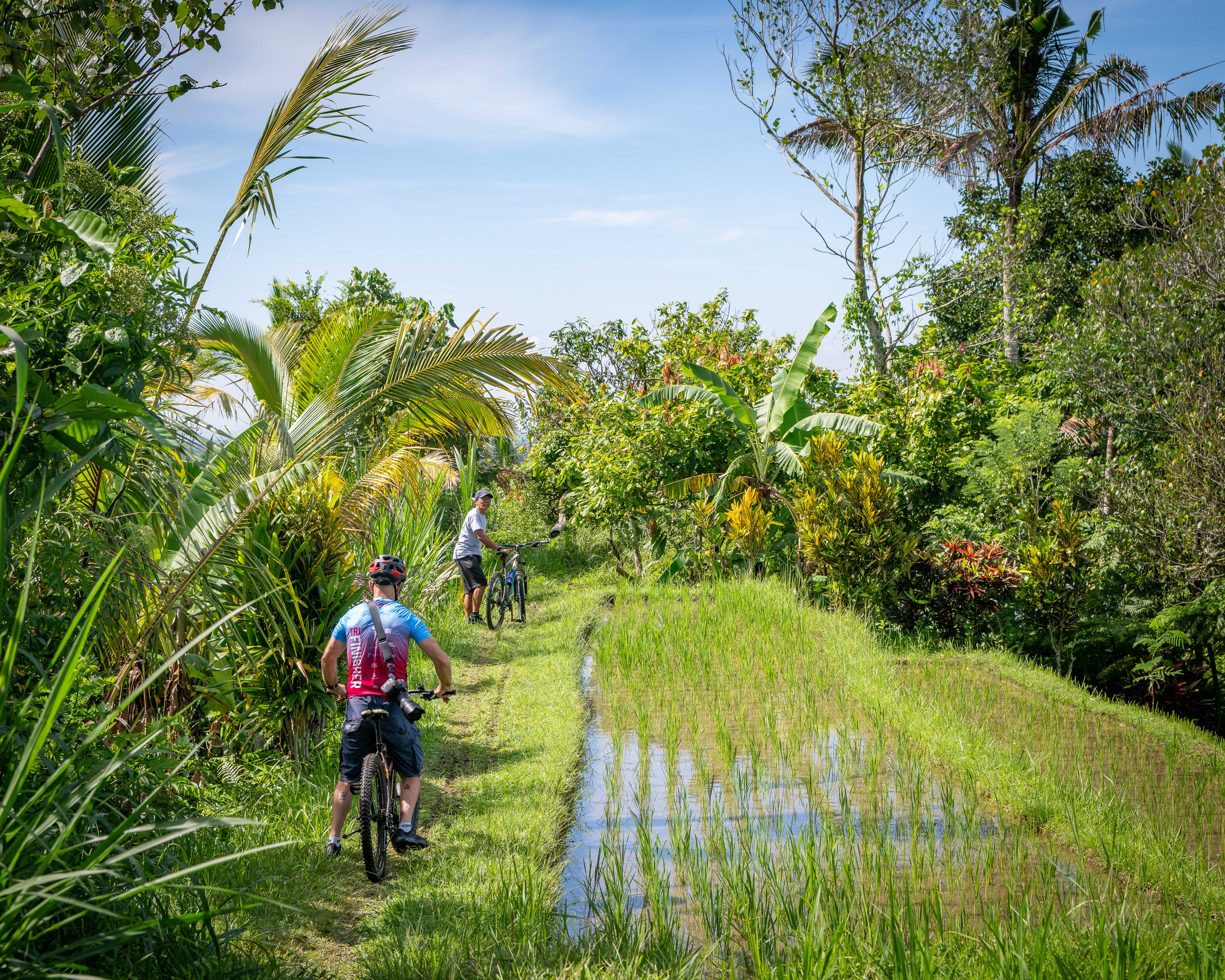 Best Cooking Classes with Rice Field Paddy Tour in Bali Book