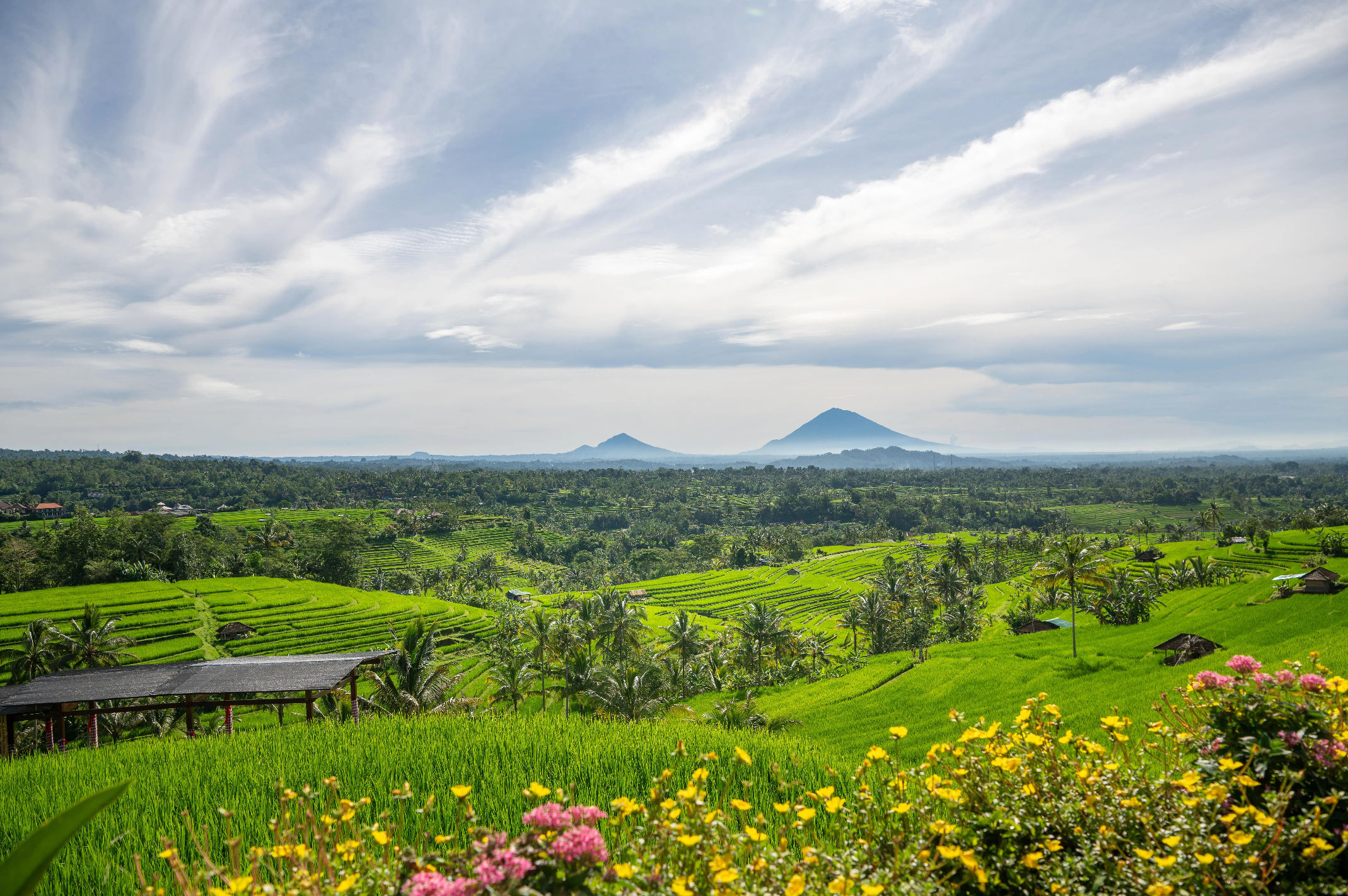 Organic and Authentic Balinese Cooking Class With Cycling in Jatiluwih Rice Terrace