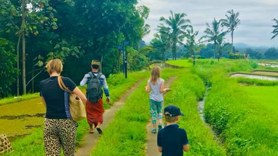 Organic and Authentic Balinese Cooking Class with Trekking in the Rice Terraces