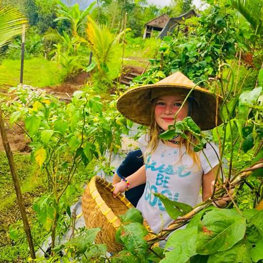 Organic and Authentic Balinese Cooking Class with Trekking in the Rice Terraces