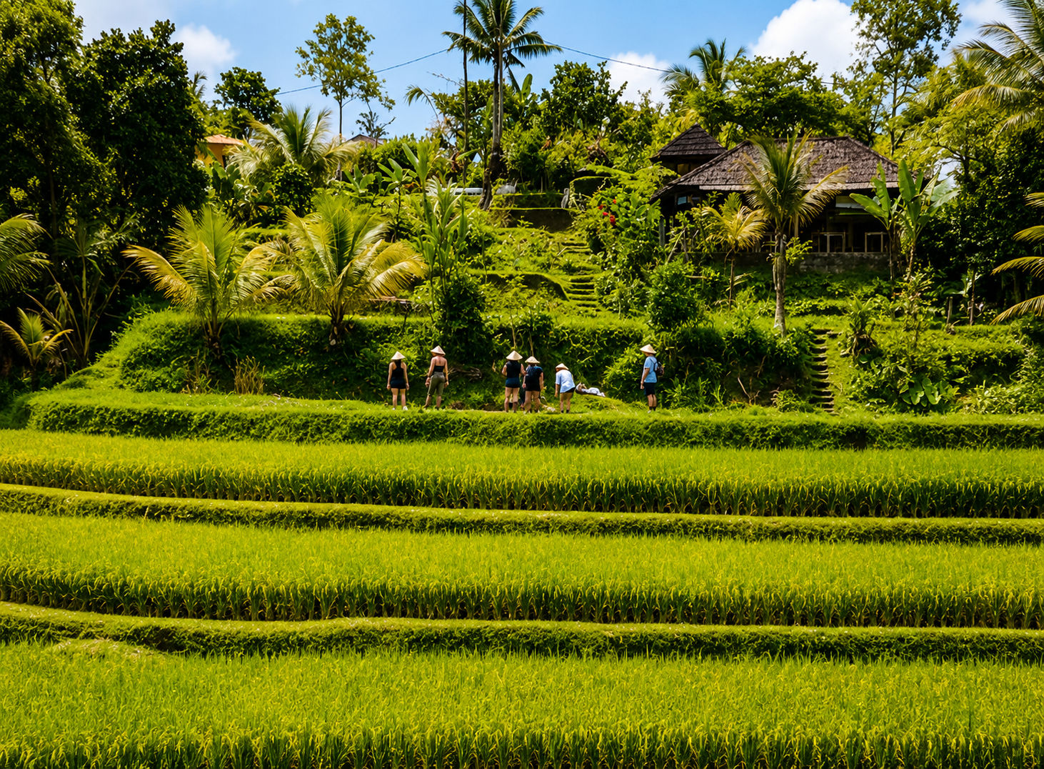Organic Authentic Balinese Cooking Class with Trekking in the Jatiluwih Rice Terraces