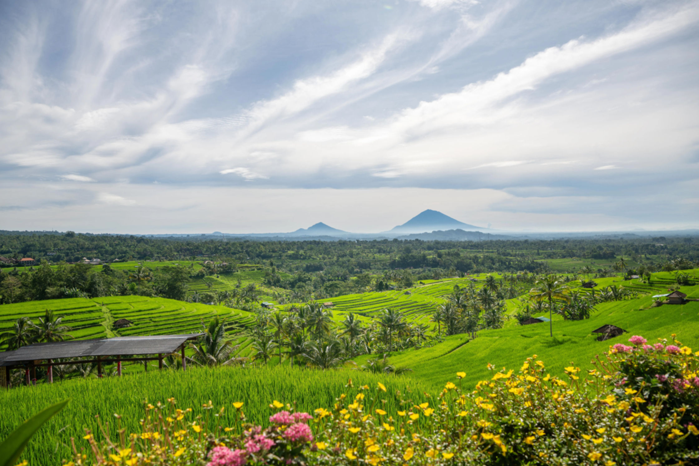 Authentic Balinese Cooking & Jatiluwih Rice Terrace Trek (Cooking Class + 1 Night)