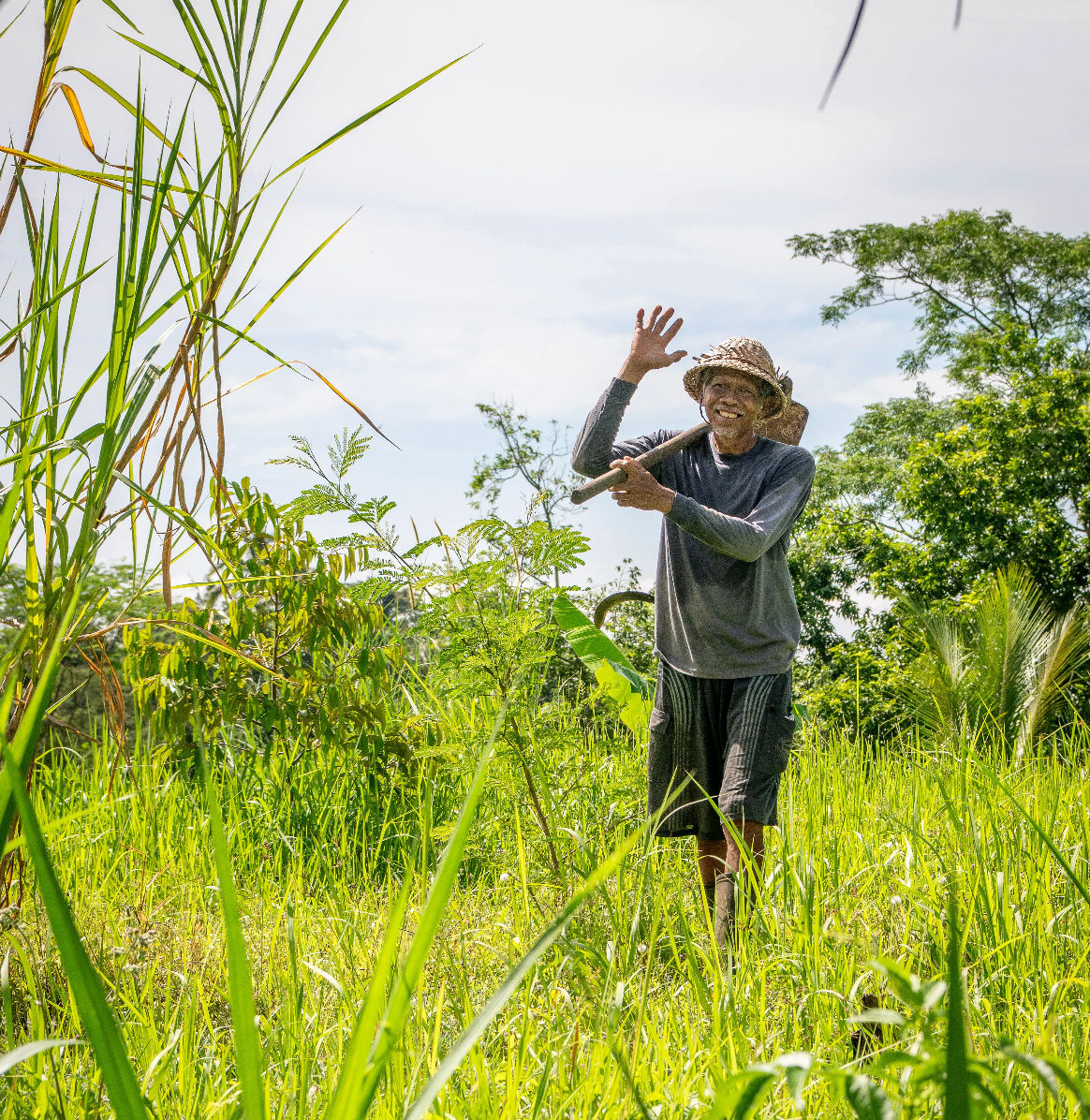 Authentic Balinese Cooking & Jatiluwih Rice Terrace Trek (Cooking Class + 1 Night)