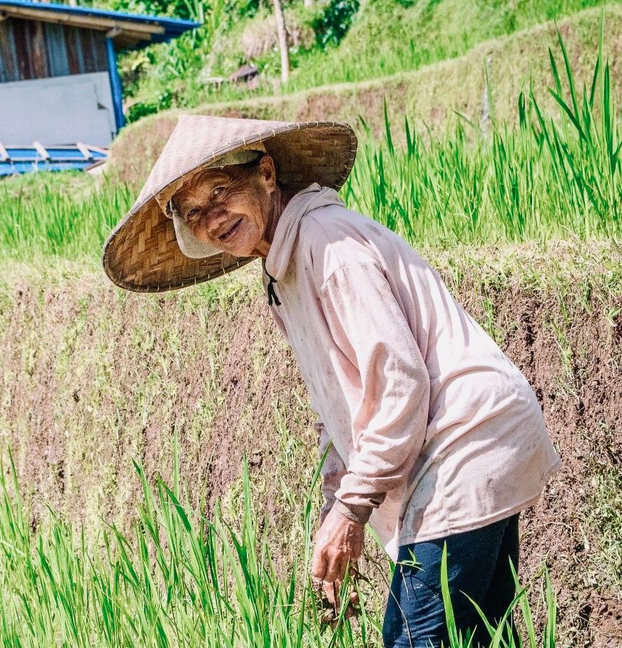 Authentic Balinese Cooking & Jatiluwih Rice Terrace Trek (Cooking Class + 1 Night)
