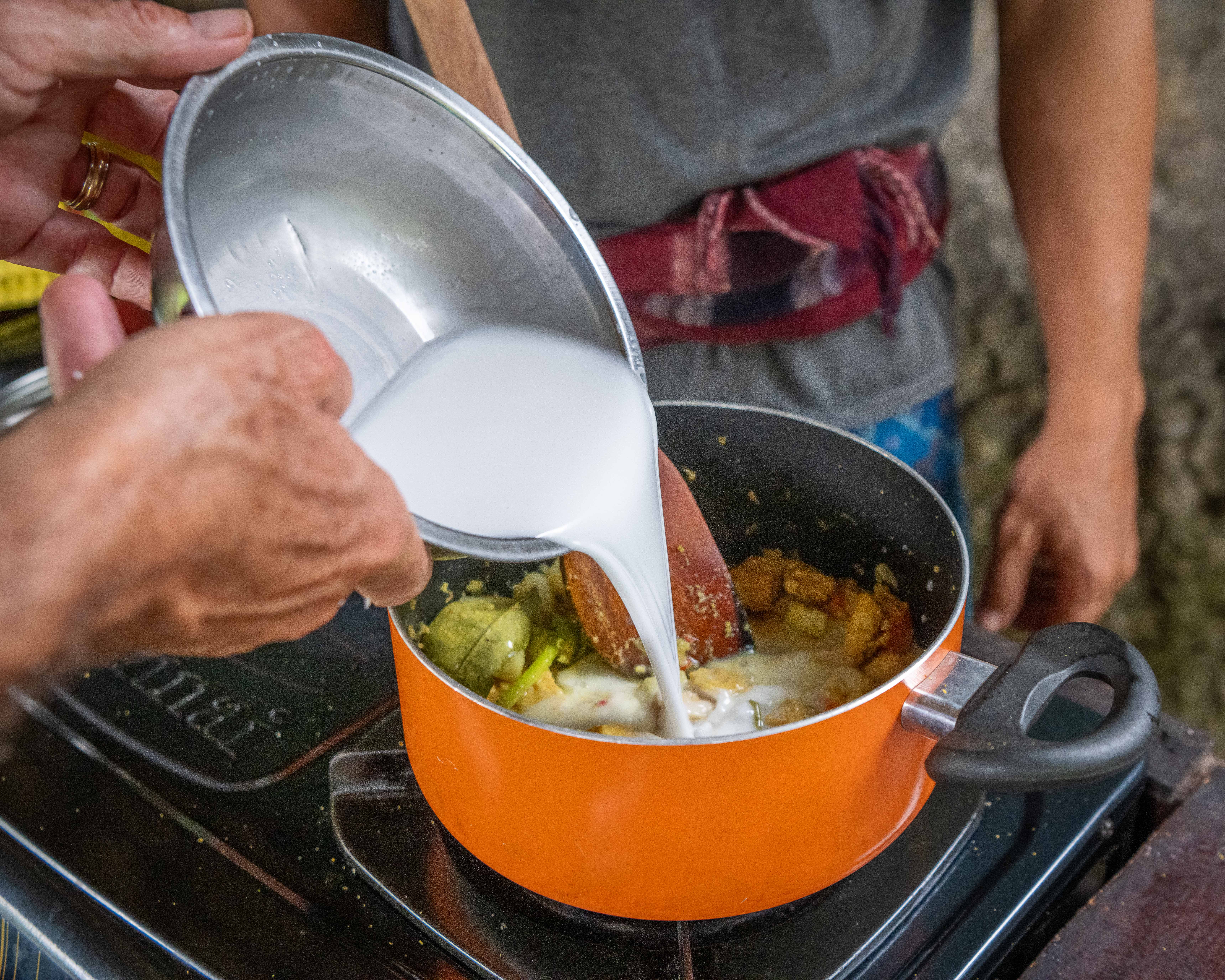 Authentic Balinese Cooking & Jatiluwih Rice Terrace Trek (Cooking Class + 1 Night)