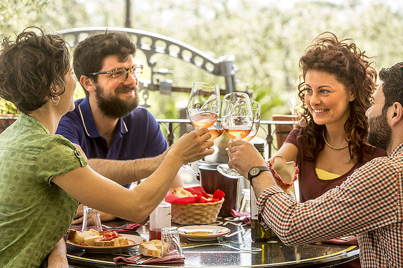 Organic "Classico" Wine Tasting with Lunch on Mount Vesuvius