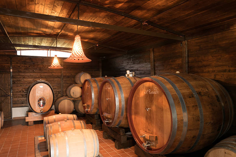 Organic "Classico" Wine Tasting with Lunch on Mount Vesuvius
