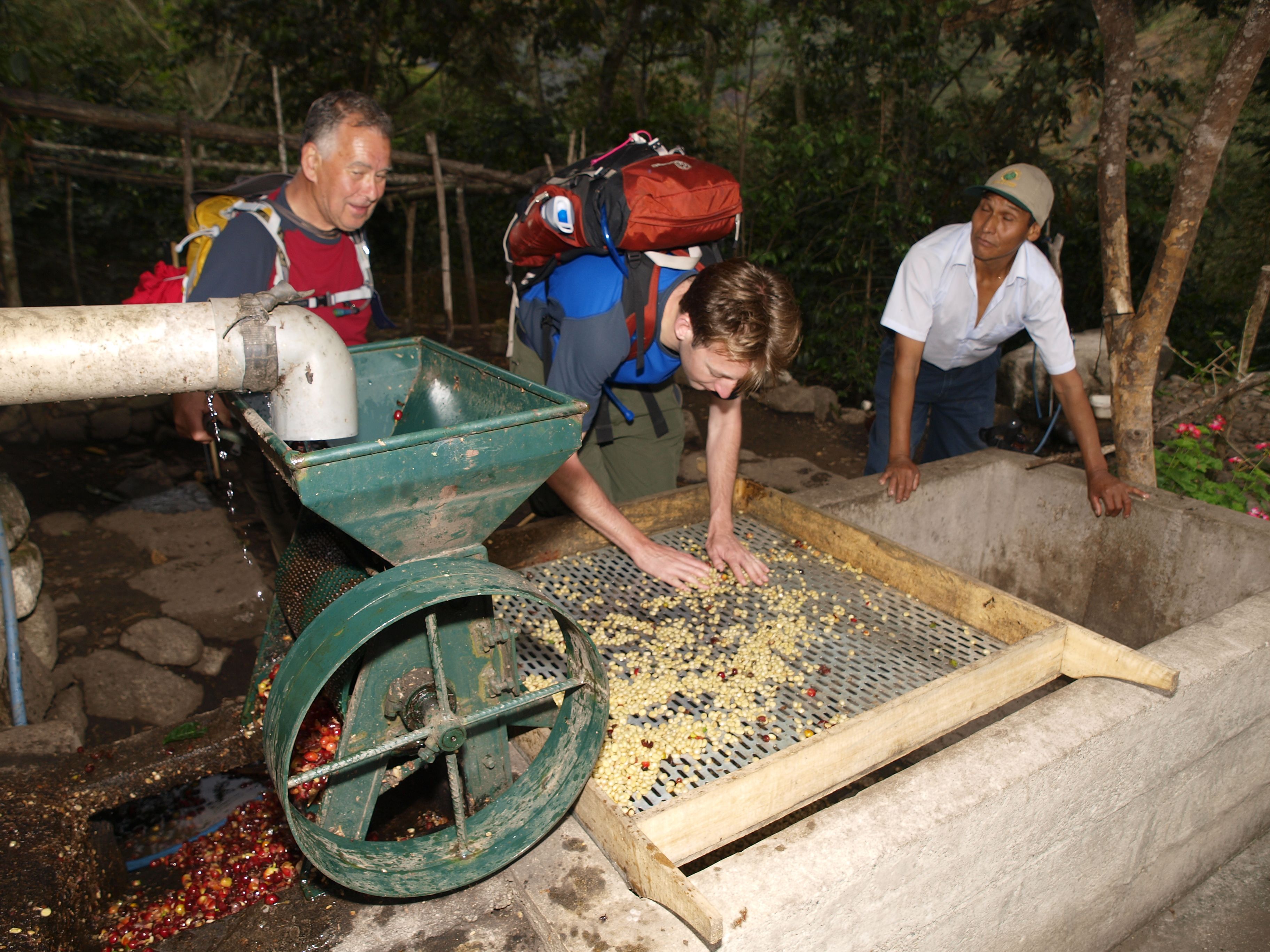 Spend a Day with the Locals at an Organic Coffee Farm