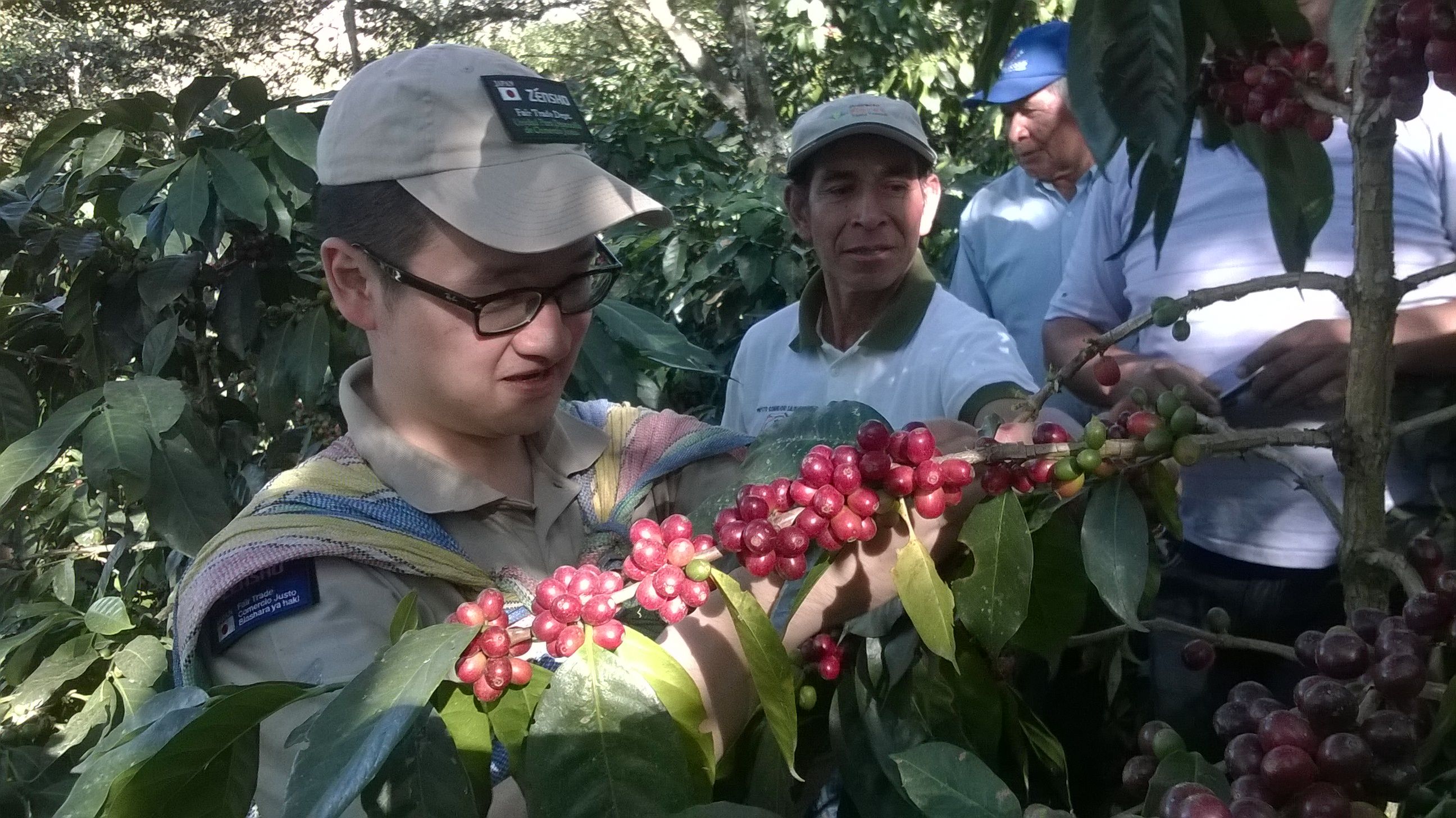 Spend a Day with the Locals at an Organic Coffee Farm