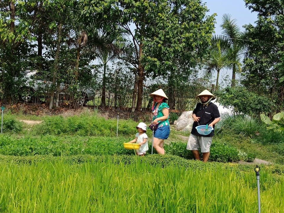 Organic Farm To Table Cooking Class in Vietnamese Agricultural Village